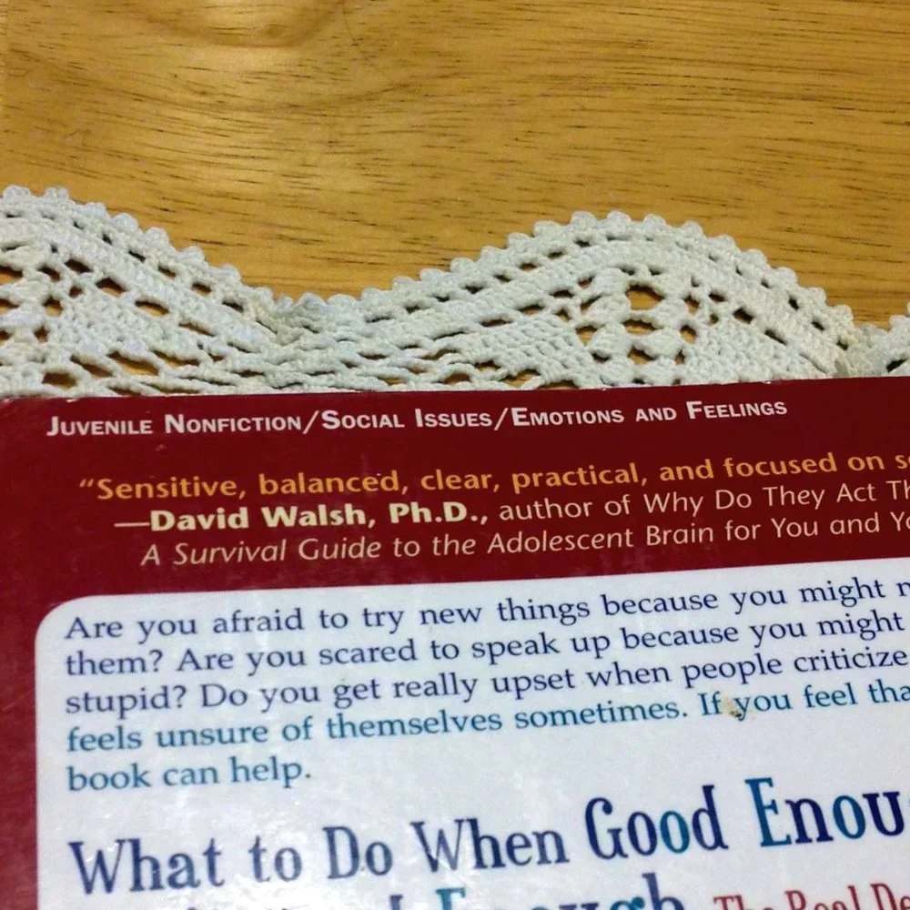 Book Sale! 3 for $10! Adolescent Advice - What to do when good enough isn't